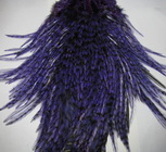 ����� ������ � ������� ����� Whiting American (grizzly purple)